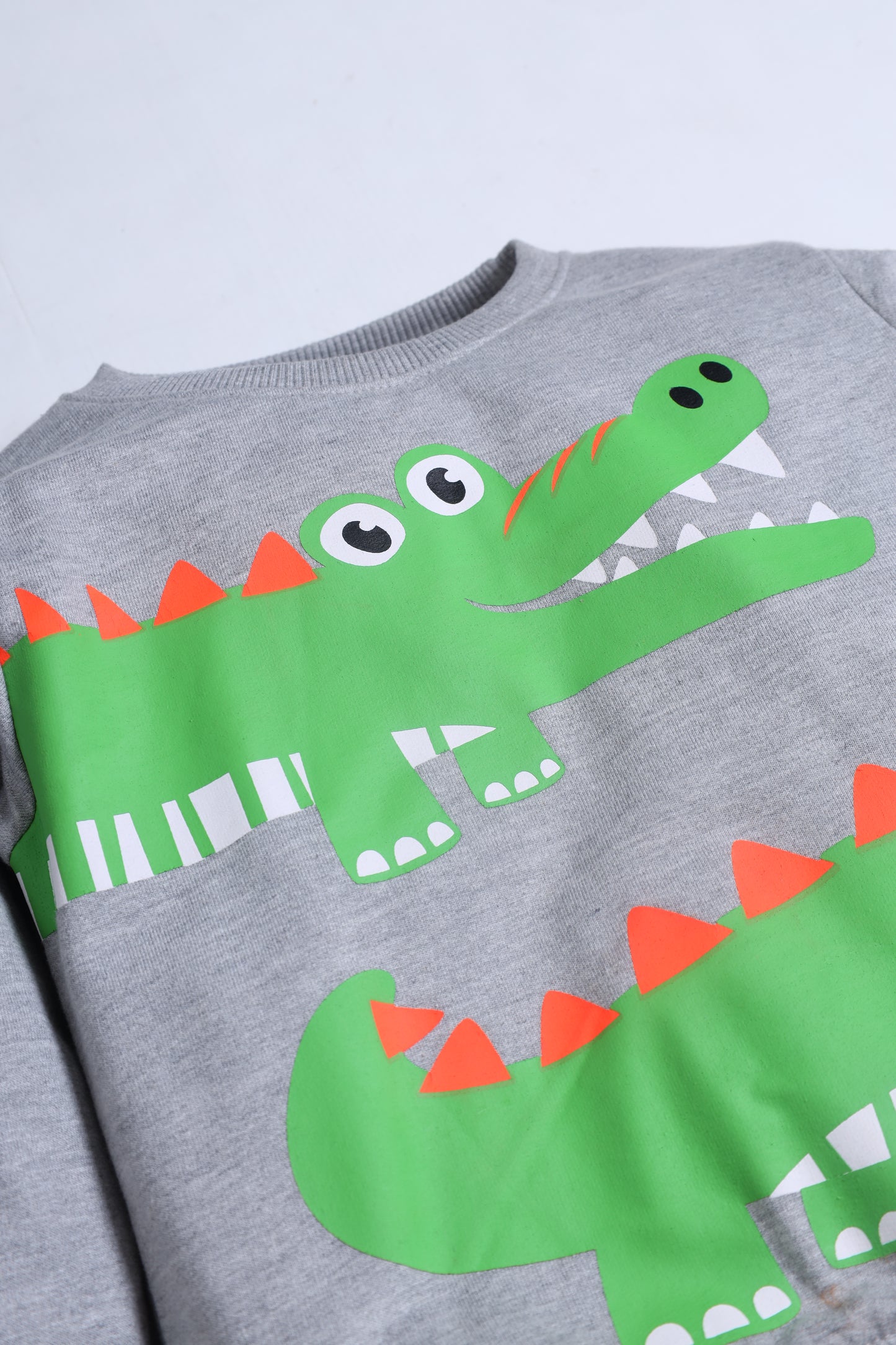 Alligator Graphic Sweat shirt