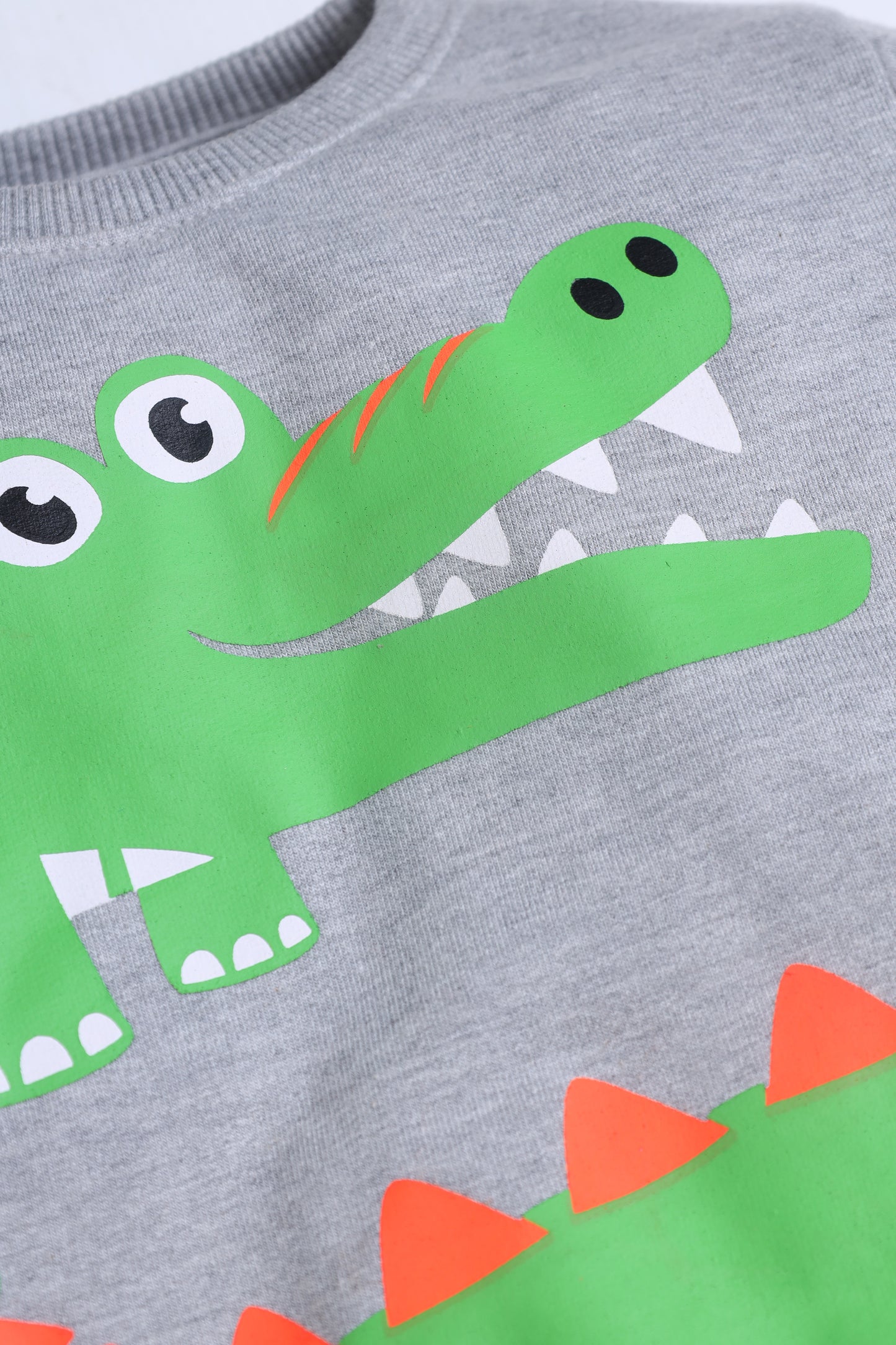 Alligator Graphic Sweat shirt