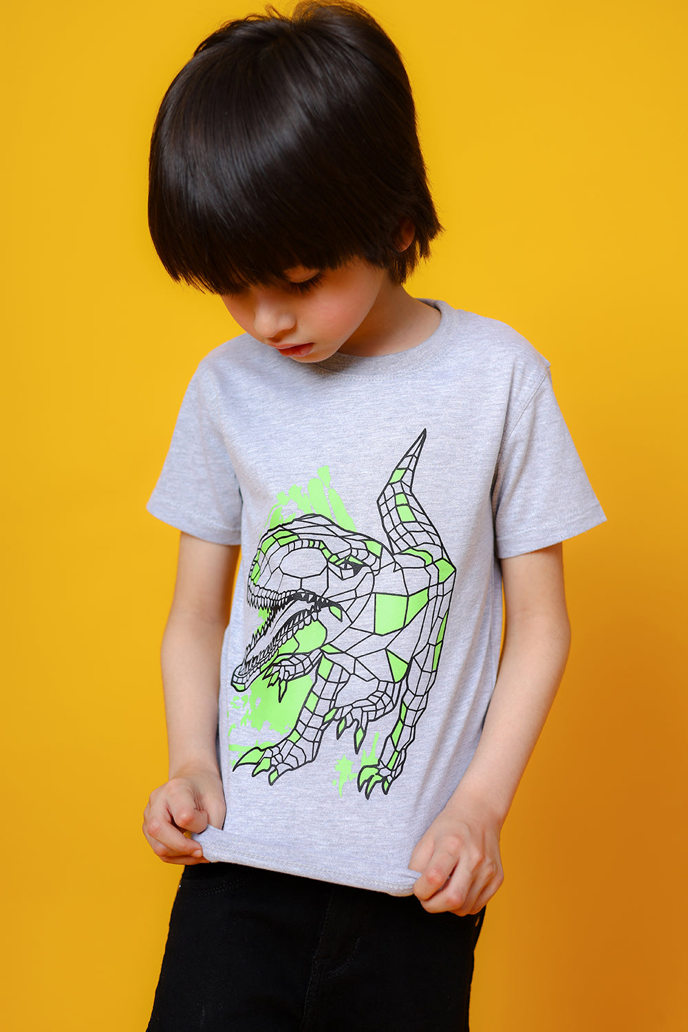 Dino graphic T-shirt 100% cotton jersey fabric