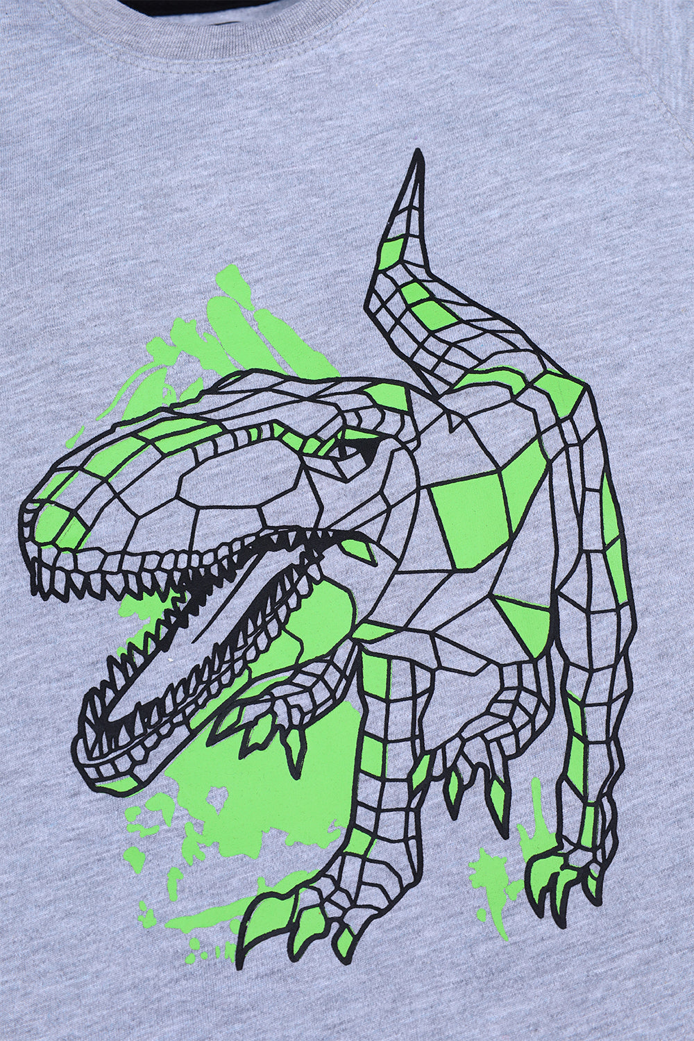 Dino graphic T-shirt 100% cotton jersey fabric